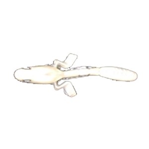 Мягкая приманка Wonder Trout Bait Tabpole 7.0см, 4шт Мягкая приманка Wonder Trout Bait Tabpole 7.0см, 4шт