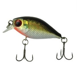 Воблер Mottomo Chubber 36F 3.8г Воблер Mottomo Chubber 36F 3.8г