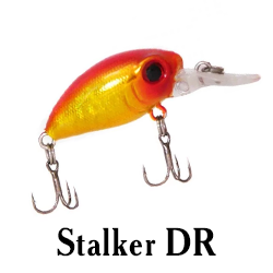 Stalker DR