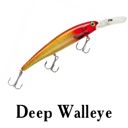 Deep Walleye