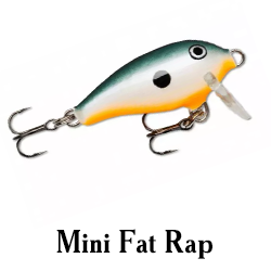 Mini Fat Rap