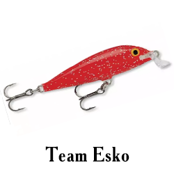 Team Esko