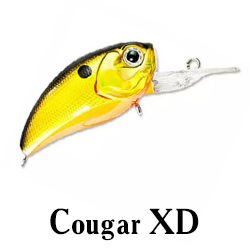 Cougar XD
