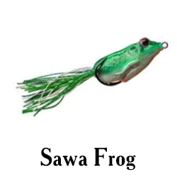 Sawa Frog