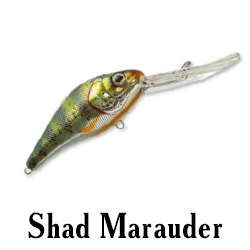 Shad Marauder