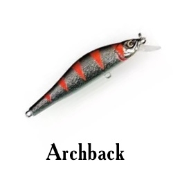 Archback