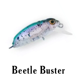 Beetle Buster
