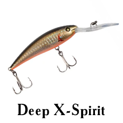 Deep X-Spirit