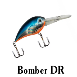 Bomber DR