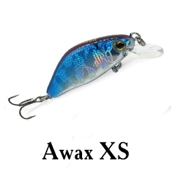 Awax XS